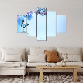 Kép - Pillangó orchidea virágon, kék (150x105 cm)