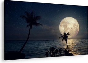 Kép - Strand teliholddal (90x60 cm)