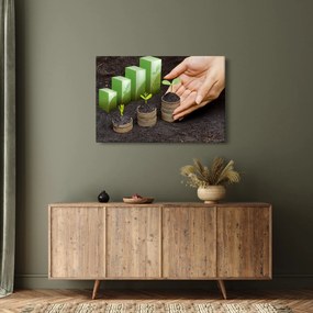 Kép - Növekedés (90x60 cm)