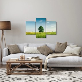 Fa képe a réten (90x60 cm)