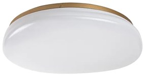 Rabalux 75053 - LED fürdőszobai mennyezeti lámpatest CALIOPE LED/24W/230V IP44 átmérő 41 cm
