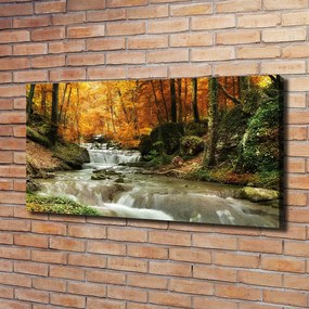 Vászon nyomtatás Vízesés az erdőben pl-oc-120x60-f-64421594