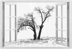 Poszterek 60x40 Magányos fa