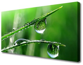 Canvas kép Grass Dew Drops 125x50 cm