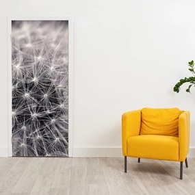 Fotótapéta ajtóra - Pitypang (95x205cm)