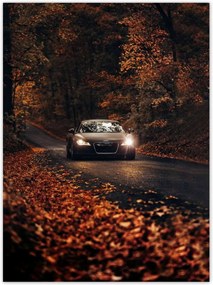 Poszterek 100x135 Audi Őszi tájkép
