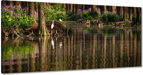 Festmények 120x60 Tájkép Látvány