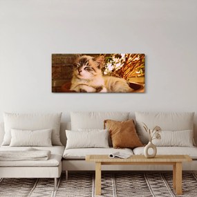 Macska a virágcserépben képe (120x50 cm)