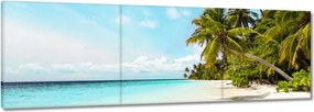 Vászonkép 150x50 Trópusok Tájkép Pálmafák