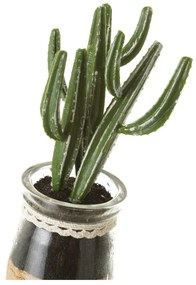 Műnövény szett 4 db-os (magasság 18 cm) Cactus – Casa Selección