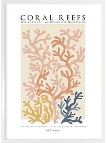 Magic of Coral Reefs kép