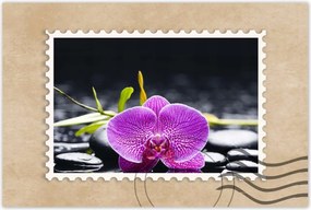 Poszterek 90x60 Lila orchidea