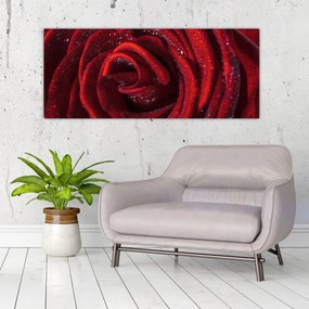 Kép - Vörös rózsa harmatcseppekkel (120x50 cm)