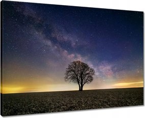 Vászonkép 70x50 Magányos fa és csillagok