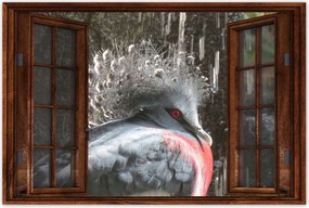 Poszterek 120x80 Színes madár