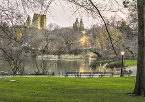 Poszter 66,5x46,5cm Központi park Manhattan panorámával 5, Assaf Frank