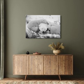 Kép - Jegesmedvék (90x60 cm)