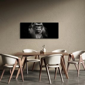Kép - Gorilla (120x50 cm)