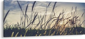 Réti virágok képe (120x50 cm)