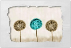 Poszterek 90x60 Wenge és kék