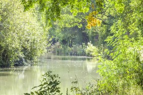 Poszter 45x30cm Basingstoke csatorna, Assaf Frank