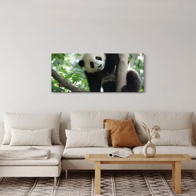 Kép - Panda a fán (120x50 cm)