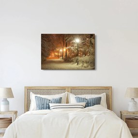 Kép - havas park (90x60 cm)