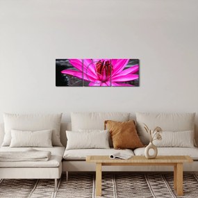 Kép - rózsaszín virág (órával) (90x30 cm)