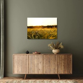 Harmatos fű képe (üvegen) (70x50 cm)
