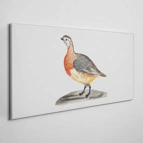 Vászonkép Állati madár rajzolása
