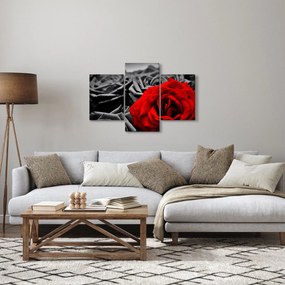 Kép - Rózsák (90x60 cm)