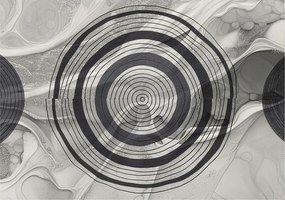 Dekoratív fotótapéta Furnér Flizelin Szürke körök 208x146 Ragasztó