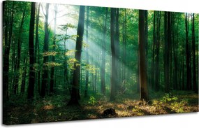Vászonkép Erdő Fák Nap sugarai 120x60 cm Ideális ajándék