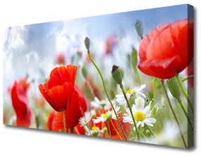 Vászonkép Pipacsok Daisies Flowers 100x50 cm
