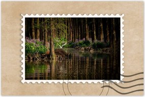 Poszterek 60x40 Tájkép Látvány