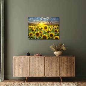 Kép - Napraforgók naplementében (70x50 cm)