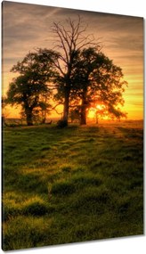 Vászonkép 80x120 Naplemente a croissant-ban