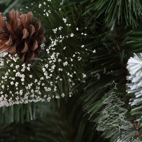 Karácsonyfa Fehér végű erdei fenyő 2D 250 cm