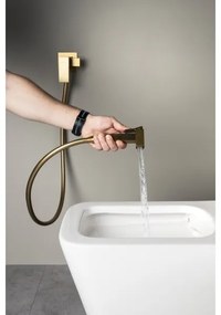 Sapho - Bidé csaptelep kézi zuhannyal süllyesztett beépítéshez CUBEMIX matt arany