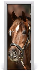 Ajtóposzter öntapadós Portré egy ló 75x205 cm