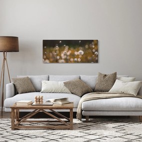 Kép - Gyapotfűvel borított rét N⁰2 (120x50 cm)