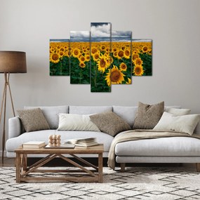 Napraforgó mező képe (150x105 cm)