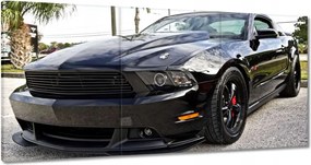 Vászonkép 180x90 Fekete fenevad Autó