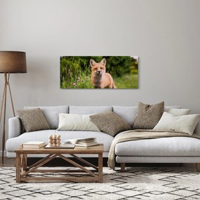 Egy róka képe (120x50 cm)