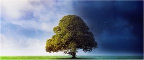 Kép - Éjjel - nappal (120x50 cm)
