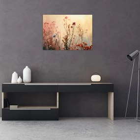 Üveg kép - Vadvirágok (70x50 cm)
