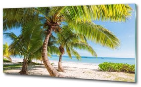 Üvegfotó Trópusi tengerpart osh-126132906