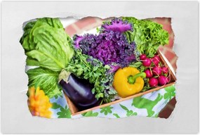 Poszterek 60x40 Zöldségek