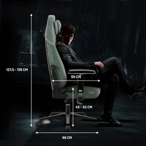Gamer szék Normal Size zöld-fekete: Diablo X-Eye Prime Gothic Green