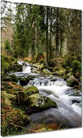 Festmények 70x100 Tájkép